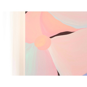 亚洲男生自慰Gay飞机
